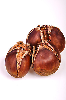 포토 JPG 해외이미지 계절 아시아 음식 여행 채소 과일 재료 요리 씨앗 사람없음 갈색 이탈리아 견과류 가을 시골 오픈 시장 닫기 맛 그릴 밤 숲 11월 굽기 먹기 날것 크로아티아 칠면조 흙더미 헝가리 10월 고립 슬로베니아 인기 해외202004 해외포토 식물 유럽 나라 컬러 컨셉 모션 조류 주방용품 흙 날짜 구이 동유럽 파일형식 더미