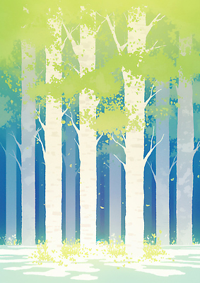 JPG 나무 여유 백그라운드 일러스트 자연 하늘 생명 풍경 잔디 초록색 여름 햇빛 평화 소리 산책 숲 조화 자작나무 국내일러스트 AI일러스트 AI콘텐츠 식물 계절 감정 컬러 컨셉 휴식 태양 생태계 파일형식