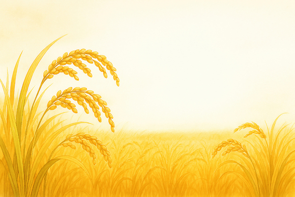 자연요소 산업 농업 날씨 태양 노을 시골 생태계 파일형식 햇빛 풍경 농사 이삭 자연 초원 안개 수확 바람 농촌 식물 성장 따뜻함 하늘 일출 국내일러스트 일러스트 JPG