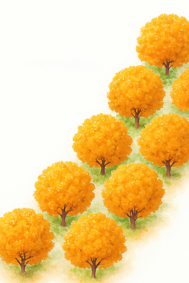 식물 계절 공공시설 길 컬러 컨셉 잎 태양 생태계 파일형식 나무 노란색 풍경 자연 산책로 거리 공원 뷰티풀 나뭇잎 햇빛 차분 일렬 정원 나무길 시골 초원 단풍 국내일러스트 일러스트 JPG 가을