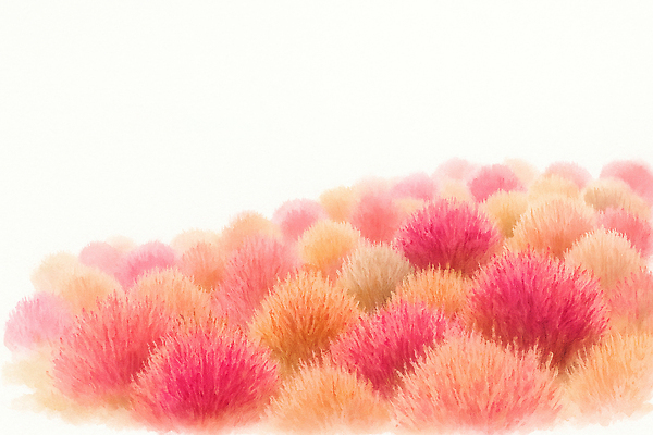 JPG 계절 꽃 분홍색 컬러 일러스트 자연 풍경 초원 야외 햇빛 평화 소리 고요 가을 잡초 감각 배열 만개 뷰티풀 국내일러스트 AI일러스트 AI콘텐츠 식물 컨셉 태양 생태계 파일형식