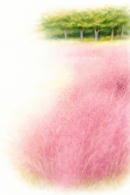 JPG 나무 식물 꽃 분홍색 일러스트 자연 하늘 바람 풍경 초원 햇빛 소풍 평화 환경 고요 봄 산책 가을 뷰티풀 국내일러스트 AI일러스트 AI콘텐츠 자연요소 계절 컬러 컨셉 날씨 휴식 태양 야외활동 생태계 파일형식