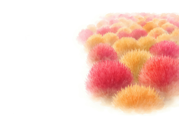 JPG 식물 계절 꽃 분홍색 컬러 백그라운드 일러스트 자연 생명 풍경 장식 노란색 평화 정원 주황색 가을 화려 조화 뷰티풀 플로리스트 국내일러스트 AI일러스트 AI콘텐츠 직업 컨셉 생태계 파일형식