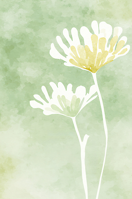 JPG 식물 디자인 꽃 예술 컬러 백그라운드 일러스트 자연 수채화 그래픽 초록색 노란색 흰색 그림 부드러움 화사함 뷰티풀 디지털아트 국내일러스트 AI일러스트 AI콘텐츠 컨셉 감각 생태계 파일형식