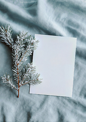 JPG 편집이미지 종이 백그라운드 크리스마스 겨울 자연 가지 따뜻함 장식 평화 촬영 차가움 편안함 오브젝트 부드러움 편집실사 AI포토 AI콘텐츠 계절 기념일 컨셉 채소 감각 CG 생태계 파일형식