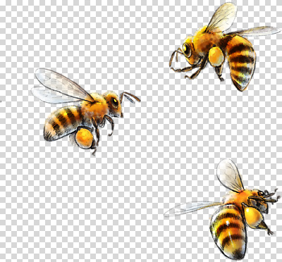 편집이미지 꽃 곤충 농업 모션 자연 생명 노동자 환경 비행 꿀벌 생태계 꽃가루 꿀 PNG 수분_꽃가루 식물 동물 직업 산업 벌_곤충 가루 파일형식