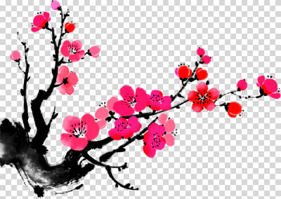 식물 편집이미지 꽃잎 꽃 분홍색 컬러 자연 생명 한국 봄 벚꽃 나뭇가지 PNG 만개 나무 계절 아시아 생태계 파일형식