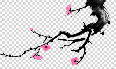 식물 편집이미지 전통 꽃 예술 분홍색 잎 자연 수채화 한국 봄 벚꽃 그림 PNG 계절 아시아 컬러 생태계 파일형식