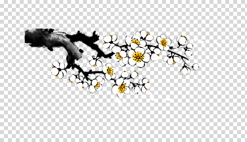 편집이미지 전통 디자인 꽃잎 꽃 예술 자연 한국 노란색 봄 벚꽃 흰색 수술 그림 PNG 식물 계절 아시아 컬러 의학 치료 생태계 파일형식