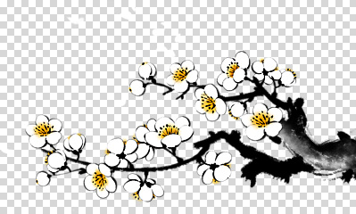 나무 편집이미지 디자인 꽃잎 꽃 화초 예술 백그라운드 자연 수채화 벚꽃 화사함 PNG 식물 컨셉 생태계 파일형식