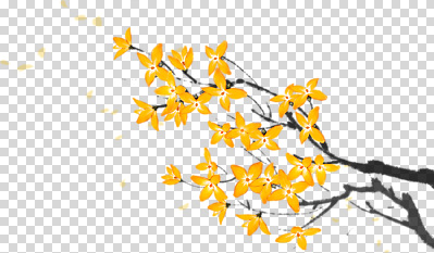 식물 편집이미지 꽃잎 꽃 자연 생명 바람 풍경 노란색 정원 봄 수줍음 흔들림 PNG 자연요소 계절 감정 컬러 모션 날씨 생태계 파일형식