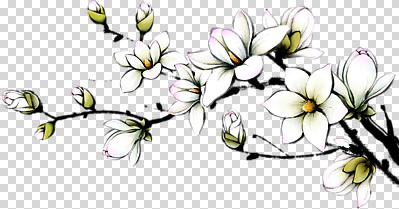 식물 편집이미지 꽃 자연 생명 봄 성장 흰색 꽃봉오리 향기 목련 조화 PNG 만개 계절 컬러 생태계 냄새 파일형식
