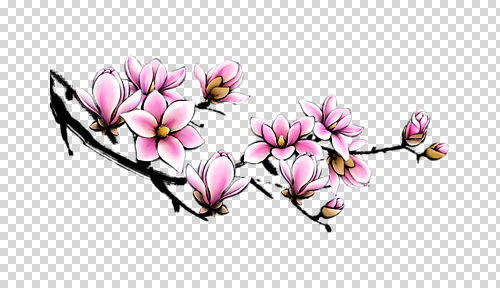 식물 편집이미지 꽃잎 꽃 분홍색 컬러 자연 생명 풍경 봄 꽃봉오리 부드러움 목련 조화 PNG 계절 감각 생태계 파일형식