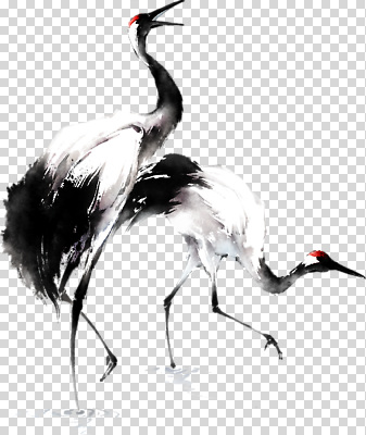 동물 편집이미지 예술 자연 조류 흑백 라이프 평화 걷기 환경 물가 조용 탐색 PNG 여우와두루미 컨셉 모션 촬영기법 풍경 생활 생태계 파일형식 이솝우화