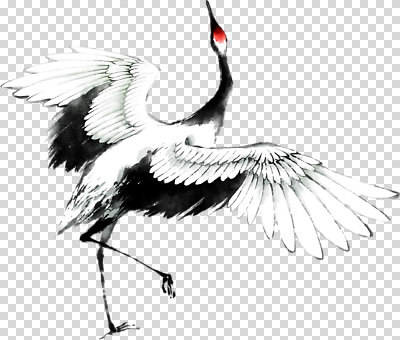 동물 편집이미지 전통 예술 날개 한국 학 표현 춤 우아함 깃털 그림 PNG 창작 아시아 컨셉 조류 문화예술 파일형식