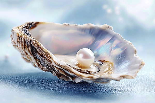 JPG 편집이미지 바다 자연 생명 조개 해변 반짝임 평화 수중 수중동물 조개껍데기 편안함 진주 뷰티풀 편집실사 AI포토 AI콘텐츠 동물 컨셉 모션 어패류 감각 보석 CG 생태계 파일형식