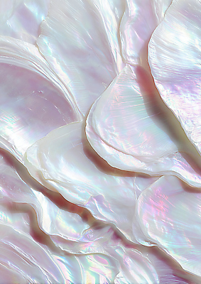 JPG 편집이미지 디자인 예술 바다 컬러 패턴 자연 물 반사 조개껍데기 질감 진주 조화 뷰티풀 편집실사 AI포토 AI콘텐츠 자연요소 무늬 조개 보석 CG 생태계 파일형식