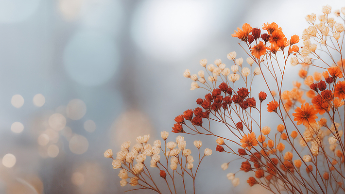 JPG 편집이미지 디자인 꽃 예술 컬러 꽃다발 백그라운드 자연 여름 빛 봄 감성 뷰티풀 이미지편집 AI컴퓨터그래픽 AI콘텐츠 식물 계절 컨셉 생태계 파일형식