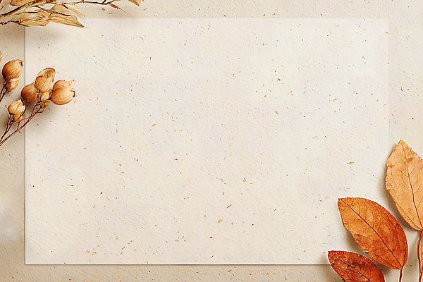 JPG 식물 편집이미지 디자인 계절 열매 백그라운드 잎 자연 평화 감성 조화 마른잎 뷰티풀 색감 편집실사 AI포토 AI콘텐츠 컨셉 CG 생태계 파일형식