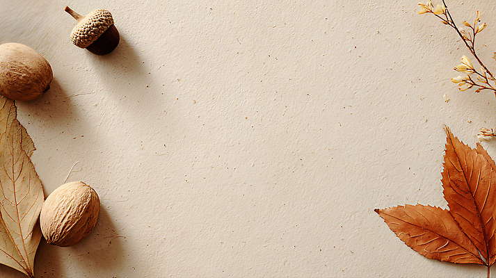 JPG 나무 편집이미지 잎 자연 나뭇잎 장식 고요 수확 밤송이 소재 감성 마른잎 색감 자연물 평면 편집실사 AI포토 AI콘텐츠 식물 컨셉 농업 밤_견과류 CG 생태계 파일형식