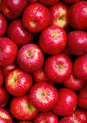 계절 음식 농업 과일 디저트 CG 생태계 파일형식 사과 신선 수확 시장 여름 자연 건강 농작물 다과 식사 편집이미지 JPG 편집실사