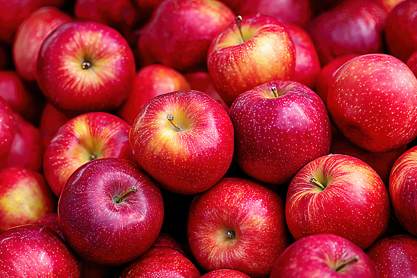 계절 감정 음식 컬러 다수 농업 과일 사람 쇼핑 CG 파일형식 사과 빨간색 시장 신선 농작물 농사 구매 여러명 건강 디저트 여름 여유 편집이미지 JPG 편집실사