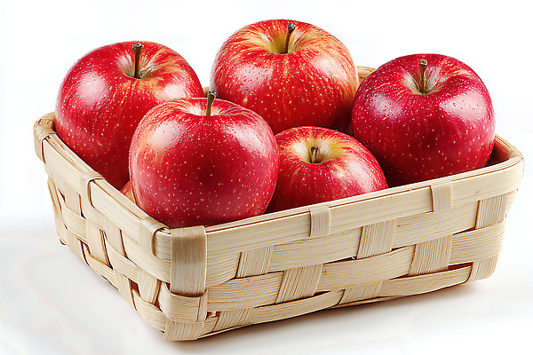 음식 컬러 컨셉 농업 과일 CG 생태계 영양소 파일형식 사과 바구니 빨간색 신선 건강 디저트 자연 재료 농작물 식사 요리 비타민 맛 농사 편집이미지 JPG 편집실사