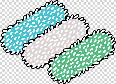 교육 의학 생물 파일형식 박테리아 세포 생명 미생물 모양 컬러 조화 실험 생물학 과학 그래픽 생태계 편집이미지 PNG