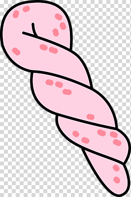 편집이미지 디자인 분홍색 디저트 나선형 사탕 그래픽 점 달콤 엉킴 즐거움 질감 PNG 먹거리 색감 감정 음식 컬러 무늬 맛 파일형식