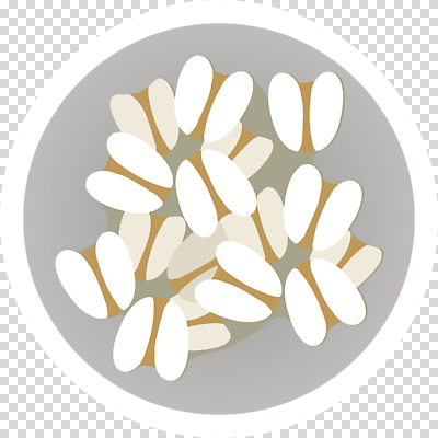 편집이미지 접시 음식 컬러 재료 곡류 건강 요리 PNG 율무 식기 파일형식