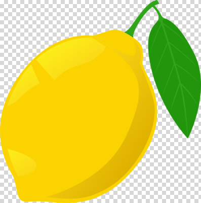 식물 편집이미지 음료 과일 자연 나뭇잎 디저트 건강 요리 노란색 신선 레몬 유기농 상큼 레시피 PNG 비타민C 웰빙 음식 컬러 잎 생태계 비타민 파일형식