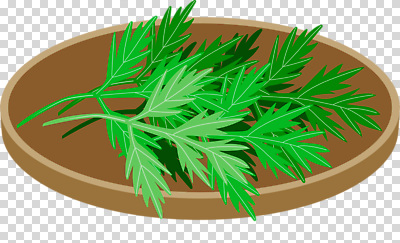 편집이미지 계절 잎 식재료 자연 한국 건강 요리 초록색 농작물 신선 향신료 PNG 나무그릇 쑥 식물 그릇 아시아 컬러 농업 채소 목재 생태계 향미료 파일형식