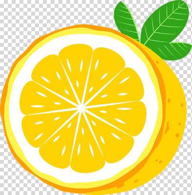 편집이미지 음식 다이어트 채소 과일 자연 디저트 건강 요리 주스 신선 레몬 비타민 PNG 색감 음료 생태계 영양소 파일형식