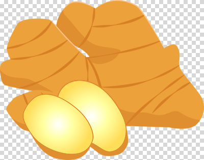 편집이미지 한식 음식 다이어트 식재료 재료 자연 건강 요리 알 향신료 비타민 생강 PNG 생강차 채소 차_음료 생태계 영양소 향미료 파일형식