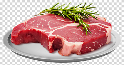 식기 컨셉 식재료 육류 허브 준비 파일형식 로즈메리 요리 재료 식사 신선 레시피 접시 다짐육 맛 식사준비 음식 편집이미지 PNG