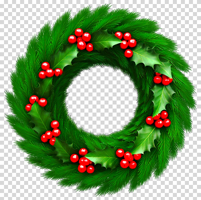 식물 기념일 꽃 컬러 크리스마스 이벤트 생태계 파일형식 화환 장식 초록색 열매 테마 축제 자연 오브젝트 크리스마스장식 편집이미지 PNG
