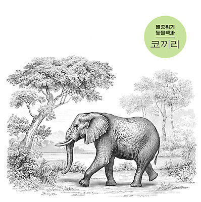 JPG 나무 동물 일러스트 자연 생명 코끼리 풍경 평화 걷기 환경 탐험 숲 생태계 조화 서식지 공존 뷰티풀 국내일러스트 AI일러스트 AI콘텐츠 식물 컨셉 포유류 모션 파일형식