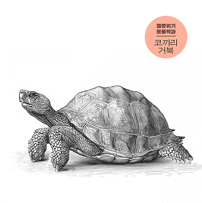 동물 컨셉 파충류 생태계 파일형식 거북이 바다 자연 생물 예술 환경 보호 수중동물 생명 그림 일러스트 국내일러스트 JPG