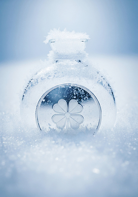 자연요소 편집이미지 계절 컬러 컨셉 병_용기 광석 생태계 파일형식 겨울 얼음 유리병 반투명 풍경 차가움 자연 크리스탈 뷰티풀 흰색 조화 차분 장식 촬영 이미지편집 JPG