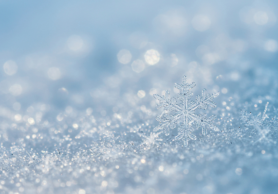 JPG 편집이미지 겨울 자연 아침 풍경 반짝임 얼음 고요 흰색 눈송이 선택 차가움 뷰티풀 편집실사 주간 자연요소 계절 컬러 컨셉 모션 눈_날씨 CG 생태계 파일형식