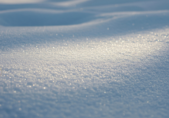 JPG 편집이미지 겨울 자연 아침 풍경 빛 반짝임 햇빛 평화 흰색 신선 선택 차가움 조용 편집실사 주간 계절 컬러 컨셉 모션 태양 CG 생태계 파일형식