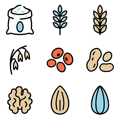 아이콘 음식 자연 곡류 건강 식사 견과류 쌀 밀 유기농 채식 땅콩 호두 아몬드 영양소 2D아이콘 AI파일 웰빙 생태계 파일형식 벡터