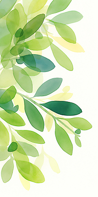 JPG 나무 식물 디자인 컬러 백그라운드 잎 일러스트 자연 생명 수채화 미술 장식 초록색 여름 평화 흰색 상쾌 그림 심플 조화 생동감 국내일러스트 계절 감정 컨셉 문화예술 생태계 파일형식