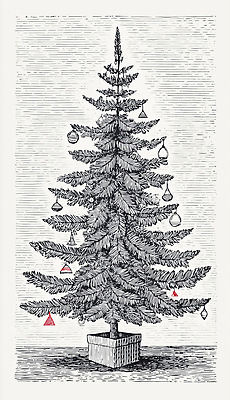 나무 식물 디자인 계절 기념일 감정 컨셉 크리스마스 생태계 파일형식 크리스마스트리 장식 겨울 소나무 축제 전통 가정 분위기 상담 인테리어 추억 사랑 생명 자연 평화 일러스트 국내일러스트 JPG