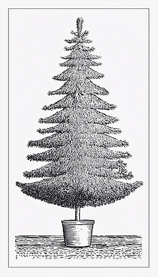 식물 무늬 채소 미술 생태계 파일형식 나무 화분 디자인 자연 뷰티풀 모양 선 예술 수목 장식 가지 잎 기하학 그림 작품 일러스트 국내일러스트 JPG