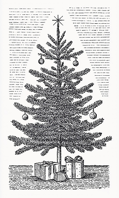 식물 계절 기념일 감정 컨셉 크리스마스 포장 관계 선물 이벤트 생태계 파일형식 크리스마스트리 장식 연말 겨울 가족 축제 전통 기쁨 축하 산타클로스 뷰티풀 자연 파티 나무 선물포장 문화 일러스트 국내일러스트 JPG