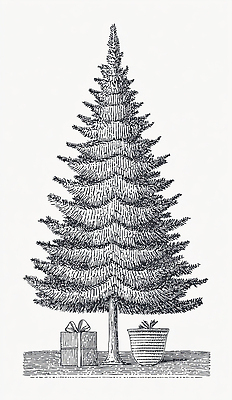 식물 전통 계절 기념일 감정 음식 컨셉 크리스마스 관계 이벤트 비_날씨 생태계 파일형식 크리스마스트리 선물 겨울 장식 조용 행복 화목 가족 축제 따뜻함 나무 자연 장마 분위기 사랑 휴일 전통음식 일러스트 국내일러스트 JPG
