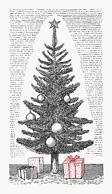 자연요소 식물 계절 기념일 감정 컨셉 크리스마스 겨울 관계 실내 풍경 이벤트 냄새 파일형식 크리스마스트리 장식 선물 나무 별 구슬 축제 겨울풍경 축하 가족 기쁨 전통 고객 집안 향기 일러스트 국내일러스트 JPG