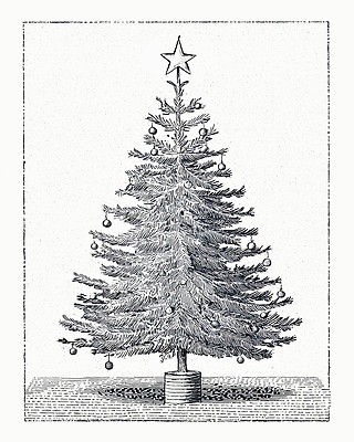 자연요소 식물 계절 기념일 감정 컨셉 관계 이벤트 생태계 파일형식 크리스마스 나무 장식 별 공 축제 전통 겨울 가족 모임 선물 기쁨 축하 상징 분위기 자연 일러스트 국내일러스트 JPG