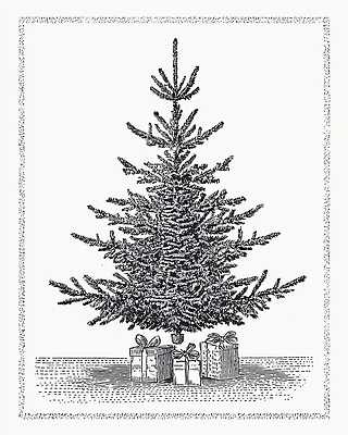 식물 계절 기념일 감정 컨셉 크리스마스 관계 이벤트 파일형식 크리스마스트리 선물 연말 겨울 축제 장식 가족 기념 전통 즐거움 행복 모임 나무 크리스마스이브 따뜻함 분위기 일러스트 국내일러스트 JPG